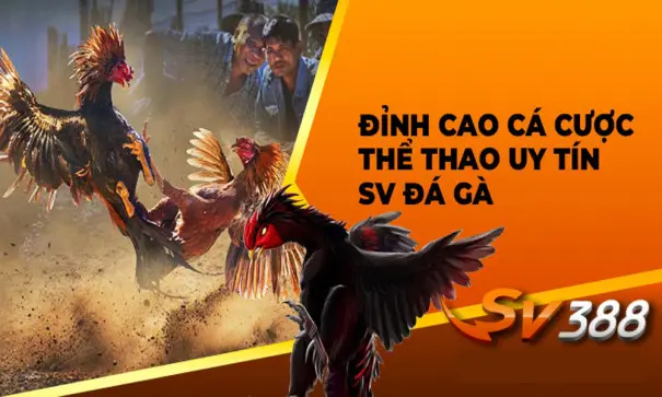 SV388 Trang đá gà trực tuyến và game casino hàng đầu Việt Nam